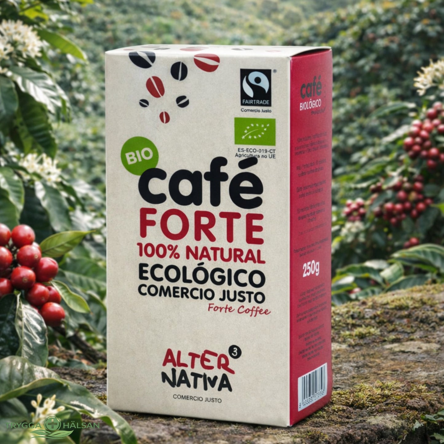 KRAFT – Ekologiskt kaffe