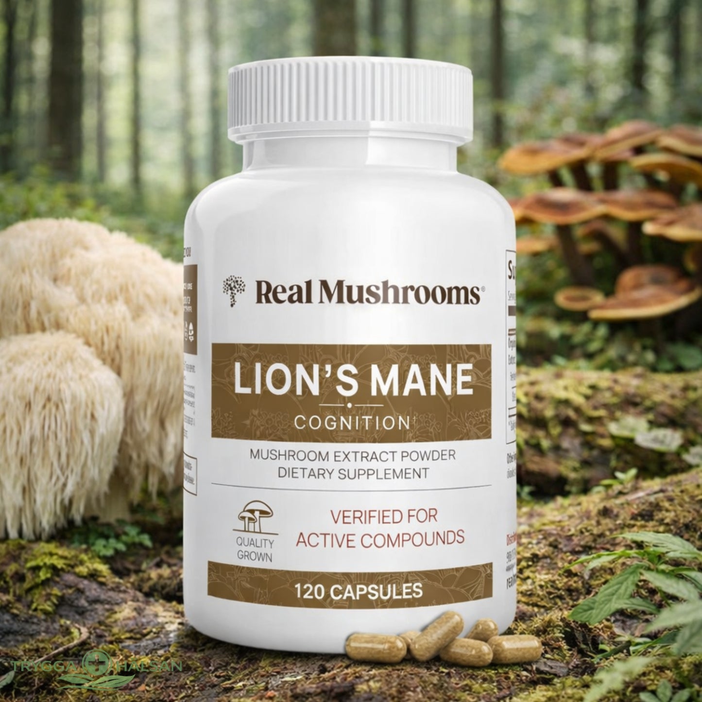 SKÄRPA – Lion’s Mane kapslar