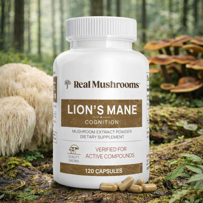SKÄRPA – Lion’s Mane kapslar