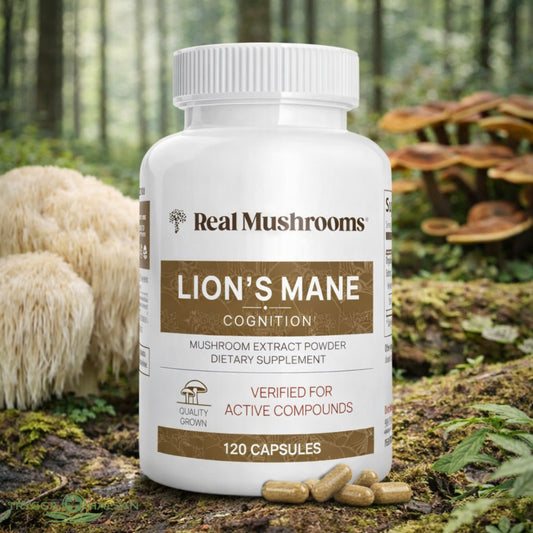 SKÄRPA – Lion’s Mane kapslar